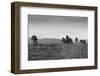 British Soldiers Advance during World War I-null-Framed Photographic Print