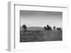 British Soldiers Advance during World War I-null-Framed Photographic Print