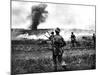 British Soldiers Advance in Tunisia; Second World War, 1943-null-Mounted Photographic Print