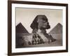 British Soldiers at the Sphinx-Bettmann-Framed Photographic Print