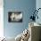 British Soldiers in Dorm Room-null-Photographic Print displayed on a wall