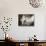 British Soldiers in Dorm Room-null-Photographic Print displayed on a wall