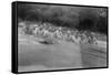 British Soldiers Washing in a Mountain Stream, Kalsi, India, 1917-null-Framed Stretched Canvas