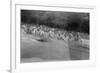 British Soldiers Washing in a Mountain Stream, Kalsi, India, 1917-null-Framed Giclee Print