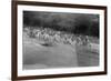 British Soldiers Washing in a Mountain Stream, Kalsi, India, 1917-null-Framed Giclee Print