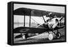 British Sopwith Camel of WWI-null-Framed Stretched Canvas