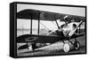 British Sopwith Camel of WWI-null-Framed Stretched Canvas