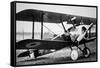 British Sopwith Camel of WWI-null-Framed Stretched Canvas