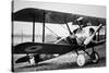British Sopwith Camel of WWI-null-Stretched Canvas