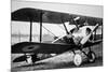 British Sopwith Camel of WWI-null-Mounted Photographic Print