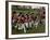 British Sortie Reenactment at Yorktown Battlefield, Virginia-null-Framed Photographic Print