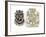 British Stamps for America Issued under the Stamp Act for a Half-Penny and Five Shillings-null-Framed Premium Giclee Print