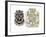 British Stamps for America Issued under the Stamp Act for a Half-Penny and Five Shillings-null-Framed Premium Giclee Print