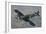 British Supermarine Spitfire Mk-16 Flying over Chino, California-Stocktrek Images-Framed Photographic Print