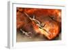 British Supermarine Spitfires Bursting Through Explosive Flames-null-Framed Art Print