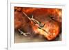 British Supermarine Spitfires Bursting Through Explosive Flames-null-Framed Art Print