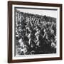 British Troops Attacking at Gallipoli During World War I-Robert Hunt-Framed Photographic Print