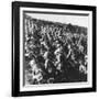 British Troops Attacking at Gallipoli During World War I-Robert Hunt-Framed Photographic Print