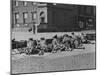 British Troops Seal-Off Dublin Streets during Troubles-null-Mounted Photographic Print