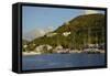 British Virgin Islands, Tortola. Boats at the Marina in West End-Kevin Oke-Framed Stretched Canvas