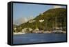 British Virgin Islands, Tortola. Boats at the Marina in West End-Kevin Oke-Framed Stretched Canvas