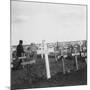 British War Cemetery, Gouzeaucourt, France, World War I, C1917-C1918-Nightingale & Co-Mounted Giclee Print