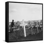 British War Cemetery, Gouzeaucourt, France, World War I, C1917-C1918-Nightingale & Co-Framed Stretched Canvas