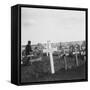 British War Cemetery, Gouzeaucourt, France, World War I, C1917-C1918-Nightingale & Co-Framed Stretched Canvas