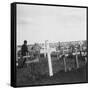 British War Cemetery, Gouzeaucourt, France, World War I, C1917-C1918-Nightingale & Co-Framed Stretched Canvas