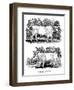 British Wild or Park Cattle, 1790-Thomas Bewick-Framed Giclee Print