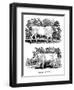 British Wild or Park Cattle, 1790-Thomas Bewick-Framed Giclee Print