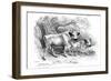 British Wild or Park Cattle-William Jardine-Framed Giclee Print