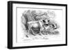 British Wild or Park Cattle-William Jardine-Framed Giclee Print