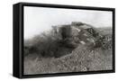 Framed Canvas