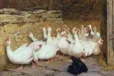 A Game of Fox and Geese, 1868-Briton Rivière-Giclee Print