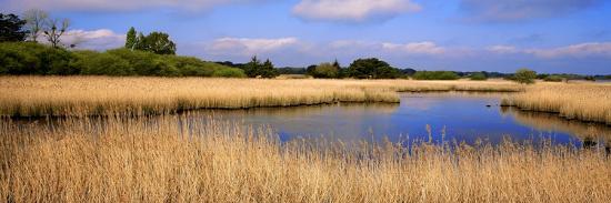 Brittany - Morbihan - Department 56 - Ria D'etel - Etang De St-Jean - View  of Pont Glaz' Giclee Print