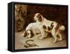 Brittany Spaniels-George Wiliam Horlor-Framed Stretched Canvas