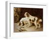 Brittany Spaniels-George Wiliam Horlor-Framed Giclee Print