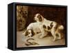 Brittany Spaniels-George Wiliam Horlor-Framed Stretched Canvas