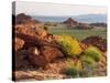 Brittlebush and Sandstone, Valley of Fire State Park, Nevada, USA-Scott T^ Smith-Stretched Canvas