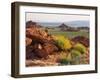 Brittlebush and Sandstone, Valley of Fire State Park, Nevada, USA-Scott T^ Smith-Framed Premium Photographic Print