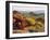 Brittlebush and Sandstone, Valley of Fire State Park, Nevada, USA-Scott T^ Smith-Framed Premium Photographic Print