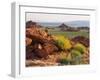 Brittlebush and Sandstone, Valley of Fire State Park, Nevada, USA-Scott T^ Smith-Framed Premium Photographic Print