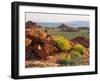 Brittlebush and Sandstone, Valley of Fire State Park, Nevada, USA-Scott T^ Smith-Framed Photographic Print