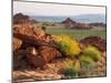 Brittlebush and Sandstone, Valley of Fire State Park, Nevada, USA-Scott T^ Smith-Mounted Photographic Print