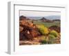 Brittlebush and Sandstone, Valley of Fire State Park, Nevada, USA-Scott T^ Smith-Framed Photographic Print