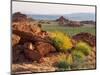 Brittlebush and Sandstone, Valley of Fire State Park, Nevada, USA-Scott T^ Smith-Mounted Photographic Print