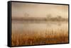 Brivio, Adda North Park, Lombardy, Italy. Fog over the Adda River and Three Trees-ClickAlps-Framed Stretched Canvas