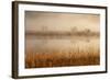 Brivio, Adda North Park, Lombardy, Italy. Fog over the Adda River and Three Trees-ClickAlps-Framed Photographic Print