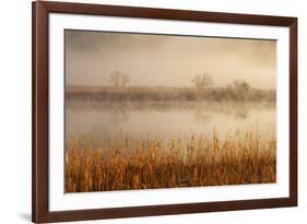 Brivio, Adda North Park, Lombardy, Italy. Fog over the Adda River and Three Trees-ClickAlps-Framed Photographic Print